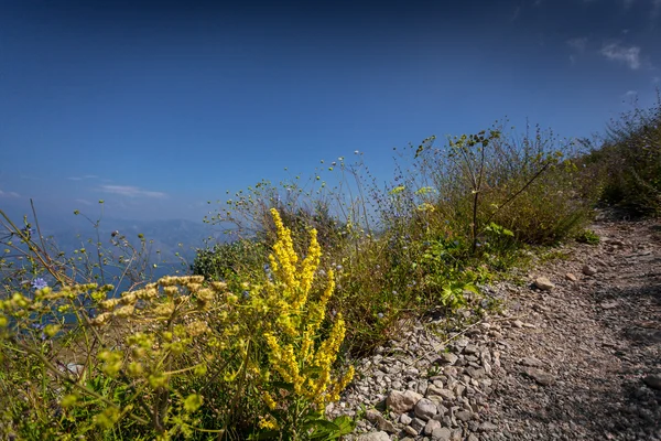 Camino de grava en alta montaña en el día soleado — Foto de Stock