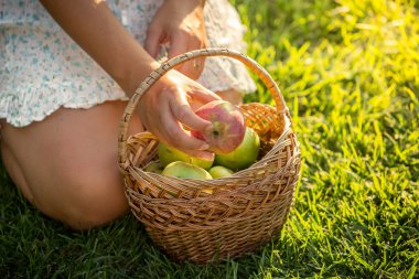 sepet elma çimenlerin üzerinde oturan dolu kadınla