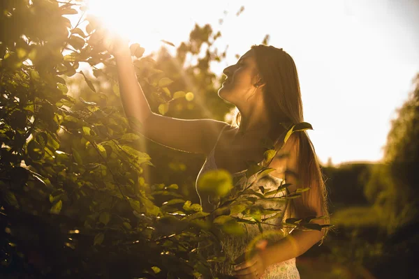 Mulher morena pegando maçã de cima da árvore — Fotografia de Stock