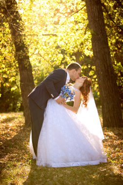 Gelin ve damat sonbahar Park'ta tutkuyla öpüşme