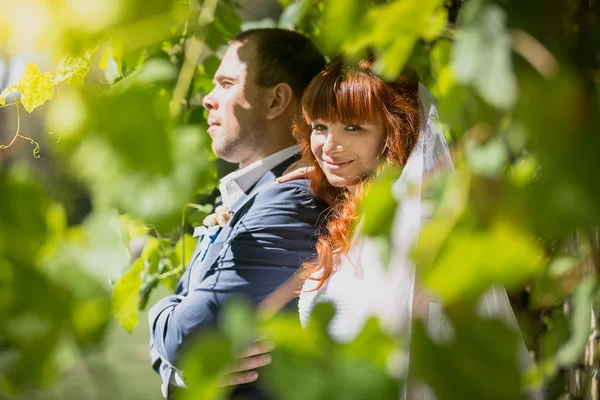 Portrait of bride hugging groom from back at park — Stock Photo, Image