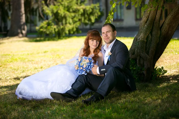 Just married couple sitting under tree at park — Stock Photo, Image