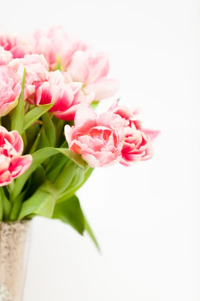 Fresh pink tulips in vase against white background — Stock Photo, Image