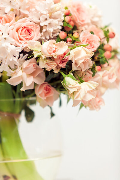 pastel pink flowers against white background
