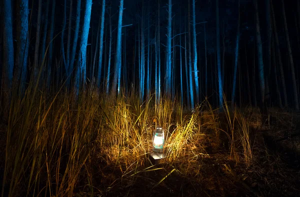Donker bos nachts verlicht door oude gas lamp — Stockfoto