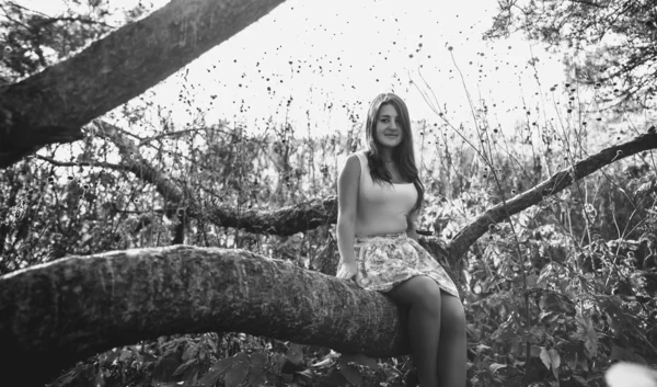 Svartvitt foto av söt kvinna sitter på stor gren på ängen — Stockfoto