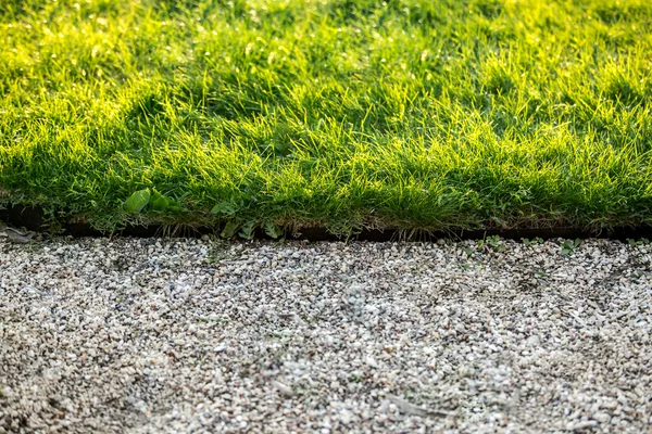 Sentiero di pietra e erba verde fresca nella giornata di sole — Foto Stock