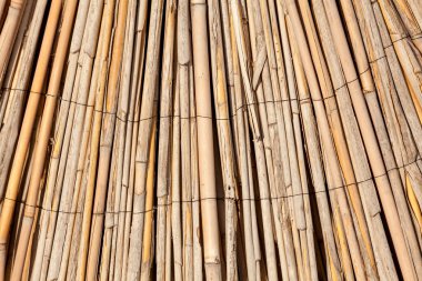 hasır plaj mat dokusuna