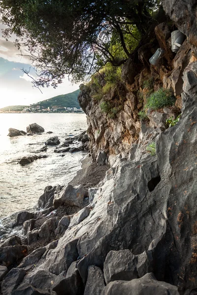 Vista al mar, acantilados y árboles al atardecer — Foto de Stock