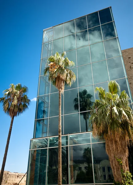 Palmeras altas reflejándose en ventanas de rascacielos —  Fotos de Stock