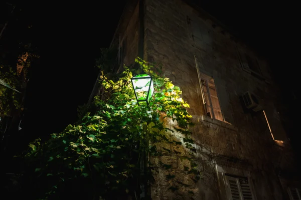 Glowing lantern hanging on wall with growing ivy — Stock Photo, Image