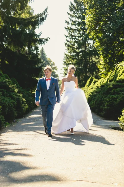 Bruden och brudgummen promenader på sommaren park på solig dag — Stockfoto