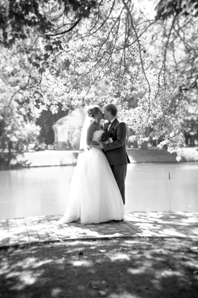 Retrato completo de la novia y el novio besándose en el parque cerca de la — Foto de Stock