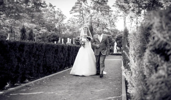 Foto monocromática de noiva feliz andando com o pai no parque — Fotografia de Stock