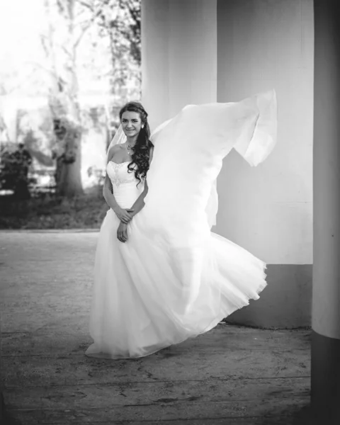 Schwarz-weiße Aufnahme von Wind Lifting Bräute weißes Kleid — Stockfoto