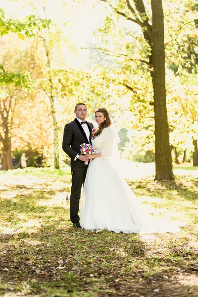 Just married couple embracing at park at autumn sunny day — Stock Photo, Image