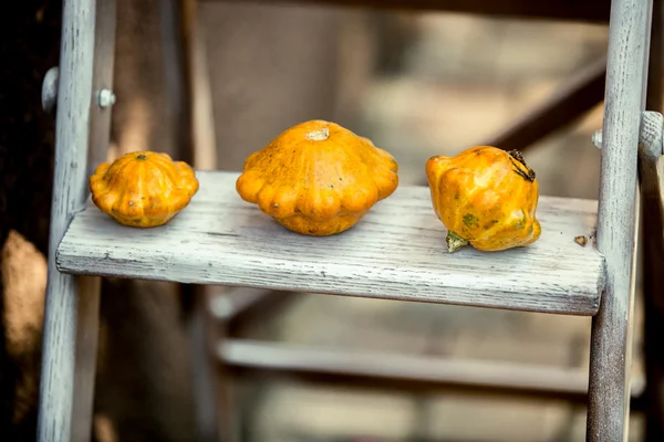 Drie kleine pompoenen liggend op houten trap — Stockfoto