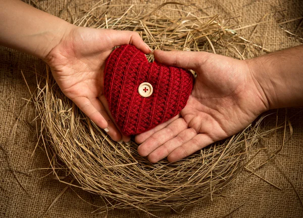 Man and woman holding knitted heart in birds nest — Stock Photo, Image