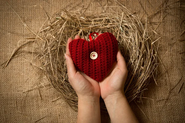 Female holding red knitted heart in hands at nest — Stock Photo, Image