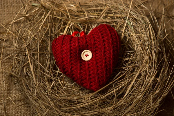 Фотография красного вязаного сердца, лежащего в гнезде птиц — стоковое фото