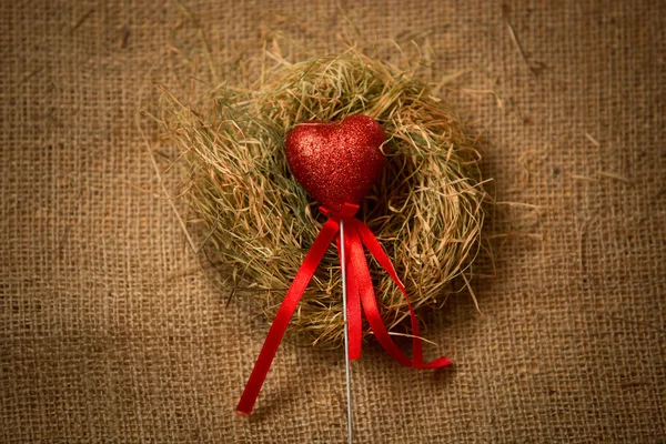 Corazón rojo decorativo en palo con cinta en el nido — Foto de Stock