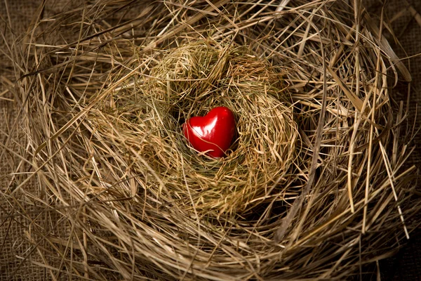 Kleines rotes Herz liegt im Vogelnest — Stockfoto