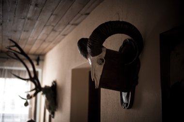Tonda avcılar evde hayvan skulls dekore edilmiş Duvar resmini 