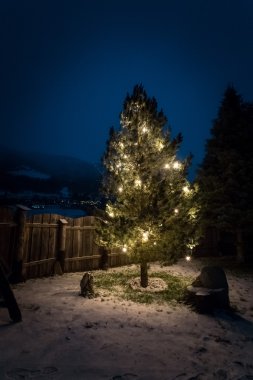 Geceleri ışıkları Noel ağacı tarafından dekore 