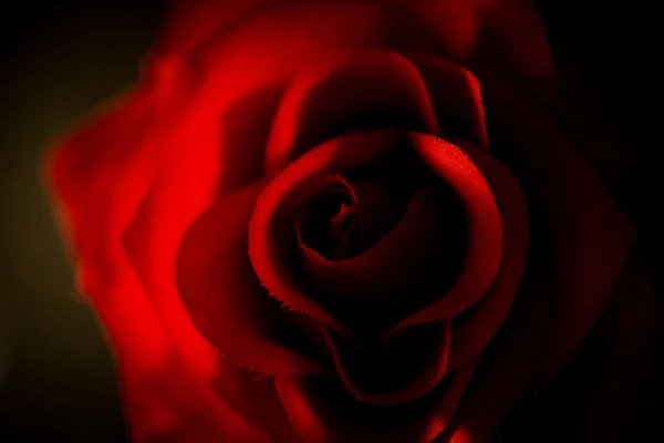 Closeup of artificial red rose shot against black background — Stock Photo, Image