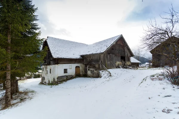 Dřevěný dům v lese v rakouských Alpách — Stock fotografie