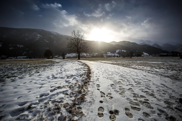 Landschaft des verschneiten Weges im Hochland-Alpental — Stockfoto