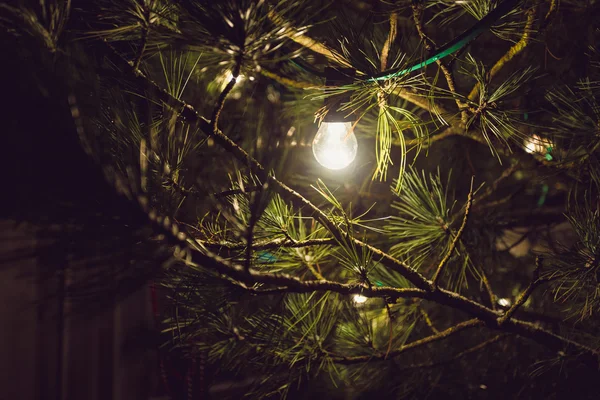 Julgran dekorerad av glödlampor — Stockfoto