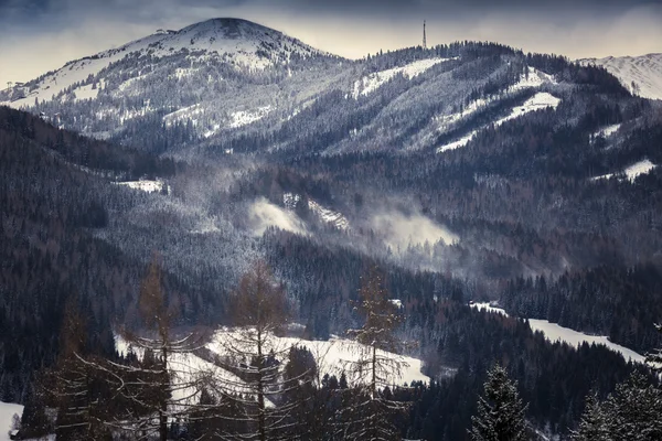 Tónovaný záběr vítr vanoucí přes zasněžené hory s lesem — Stock fotografie