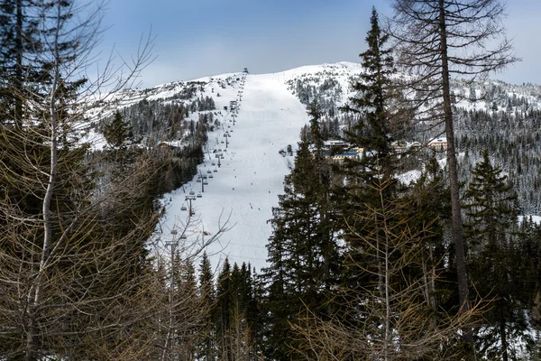 Panoráma a nagy ski lejtőn ó magas hegy körül lucfenyő — Stock Fotó