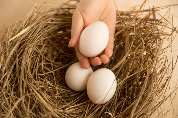 白い卵を拾う手のクローズ アップ ショットの巣します。 — ストック写真