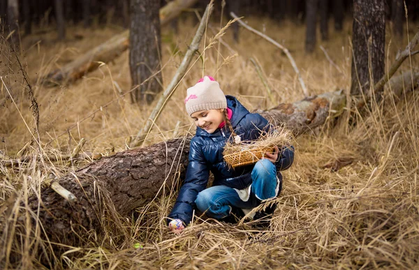 Mała dziewczynka poszukuje pisanki w dzienniku w lesie — Zdjęcie stockowe