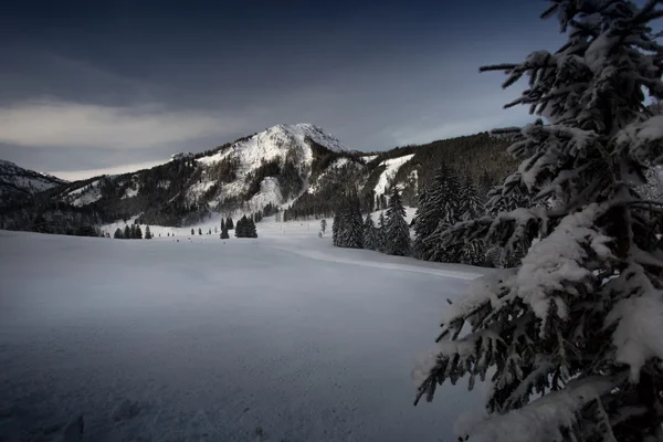 Wschód słońca w górach objętych śniegu — Zdjęcie stockowe
