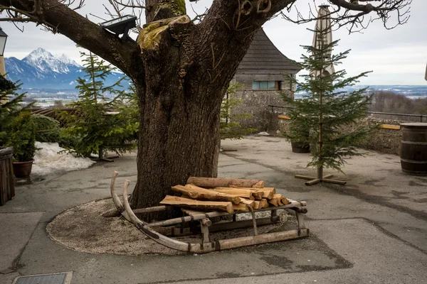 Holzschlitten stehen neben großem Baum — Stockfoto