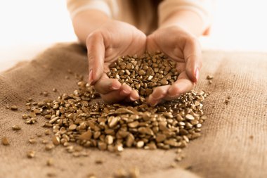 Höyüğün altın Nuggets elinde tutan kadın portre çekim