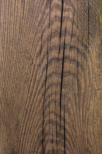 Textura de madera vieja con grietas y círculos de edad —  Fotos de Stock