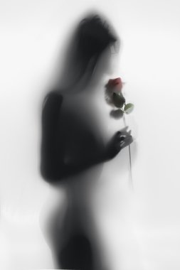 Siyah ve Beyaz Gül kokulu seksi kadın silüeti