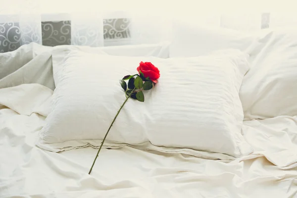 Τονισμένα πλάνο του κόκκινο τριαντάφυλλο ξαπλωμένος στο κρεβάτι στο πρωί — Φωτογραφία Αρχείου