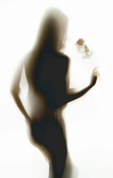 Silhouet shot van sexy naakte vrouw ruiken rode roos — Stockfoto