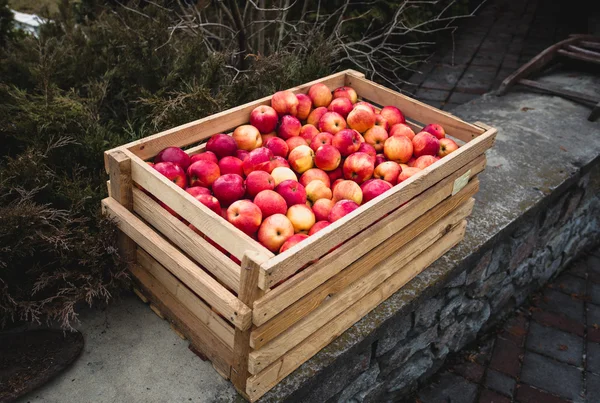 Außenaufnahme einer Holzkiste voller roter Äpfel — Stockfoto