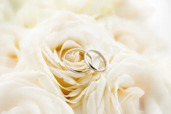 Macro foto de dois anéis de casamento de platina deitado sobre rosas brancas — Fotografia de Stock