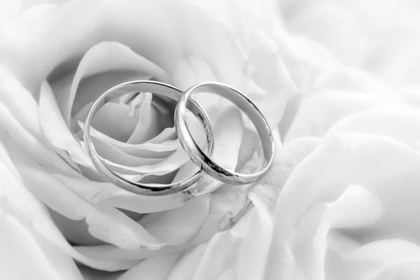 Foto de primer plano en blanco y negro de anillos de boda contra ros blancos — Foto de Stock