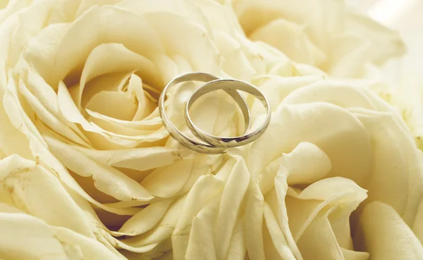 Fundo para casamento com anéis deitados em rosas brancas — Fotografia de Stock