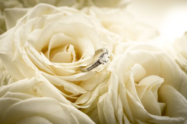 Anel de noivado bonito com diamante deitado na rosa branca — Fotografia de Stock