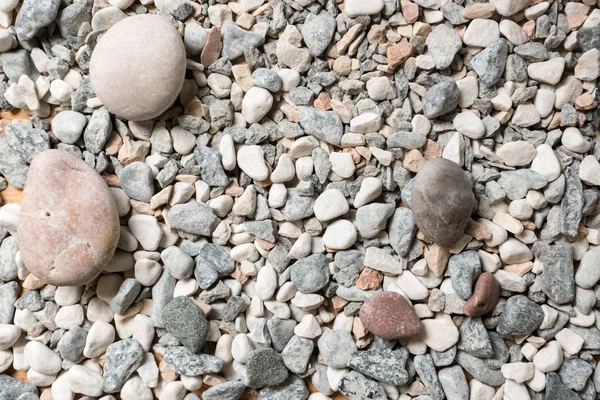 Makrotextur aus bunten Kieselsteinen, die am Meeresufer liegen — Stockfoto