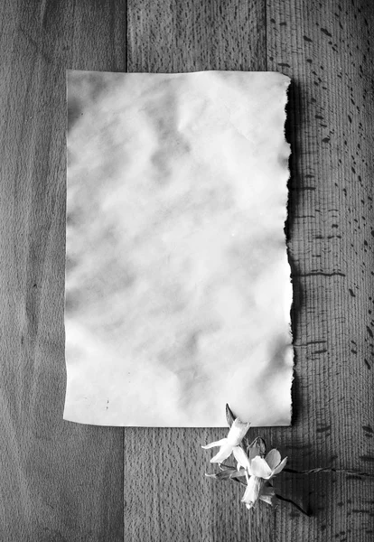 Fotografie alb-negru de hârtie veche cu flori uscate — Fotografie, imagine de stoc